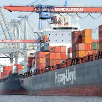 4979 Containerschiffe am Burchardkai Athabaskakai Container loeschen | Bilder von Schiffen im Hafen Hamburg und auf der Elbe